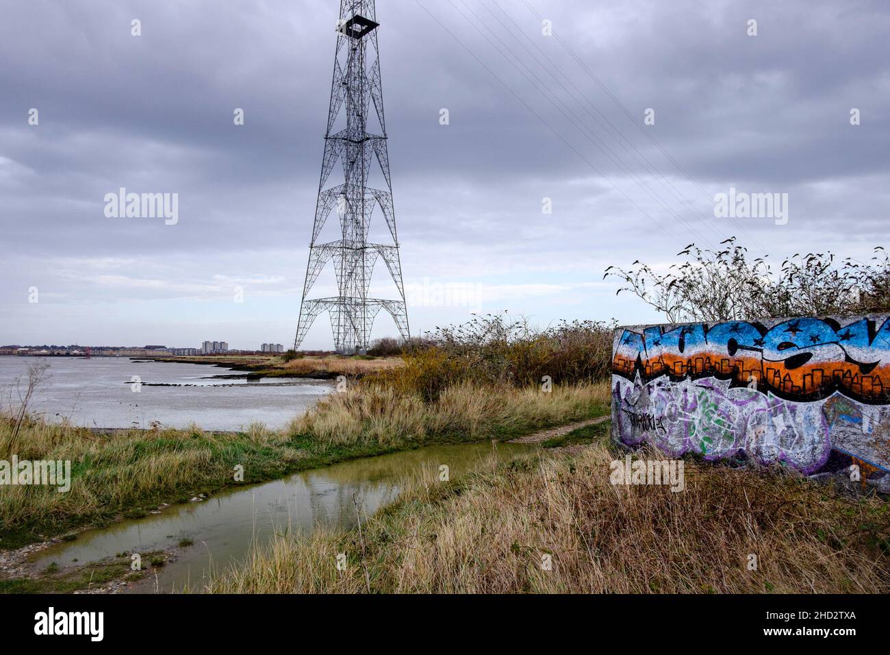 La penisola di Swanscombe sull'estuario del Tamigi nel Kent, ha designato un sito di interesse scientifico speciale nel novembre 2021. Foto Stock