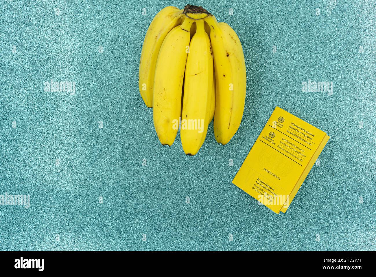 Banane gialle e carta di vaccino con bollo di gomma di vaccino covid-19 su sfondo turchese come acqua. Viaggi e convivid-19 tema. Foto Stock