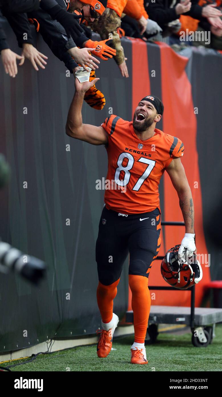 Cincinnati, Stati Uniti. 02nd Jan 2022. Cincinnati Bengals C.J. Uzomah (87) festeggia dopo aver sconfitto i Kansas City Chiefs e aver vinto l'AFC North Division Championship al Paul Brown Stadium di Cincinnati, Ohio, domenica 2 gennaio 2022. Foto di John Sommers II /UPI Credit: UPI/Alamy Live News Foto Stock