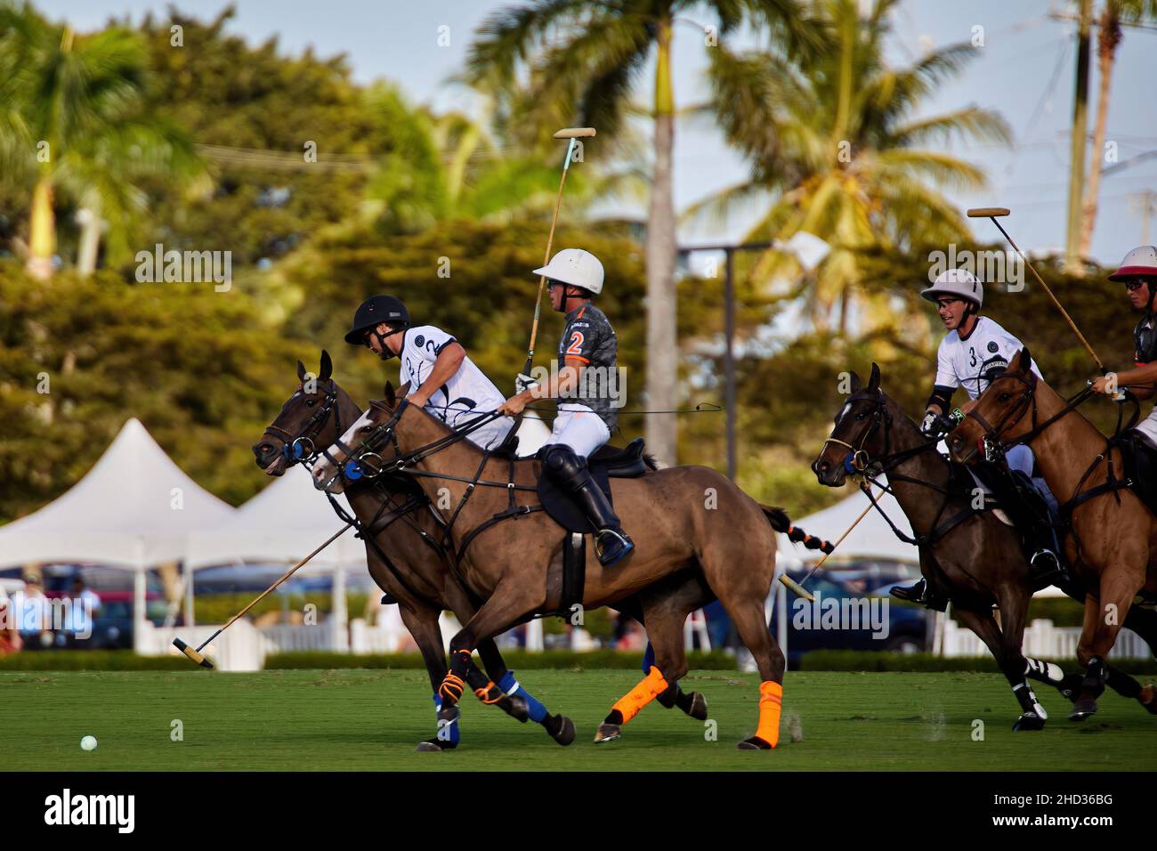 Wellington, Stati Uniti. 02nd Jan 2022. Iglehart Cup finale tra la Fe Polo Team e Beverly Polo nell'International Polo Club. Credit: Yaroslav Sabitov/YES Market Media/Alamy Live News Foto Stock