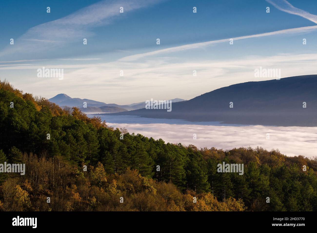 Splendida vista su una massiccia nebbia che copre gli alberi Foto Stock