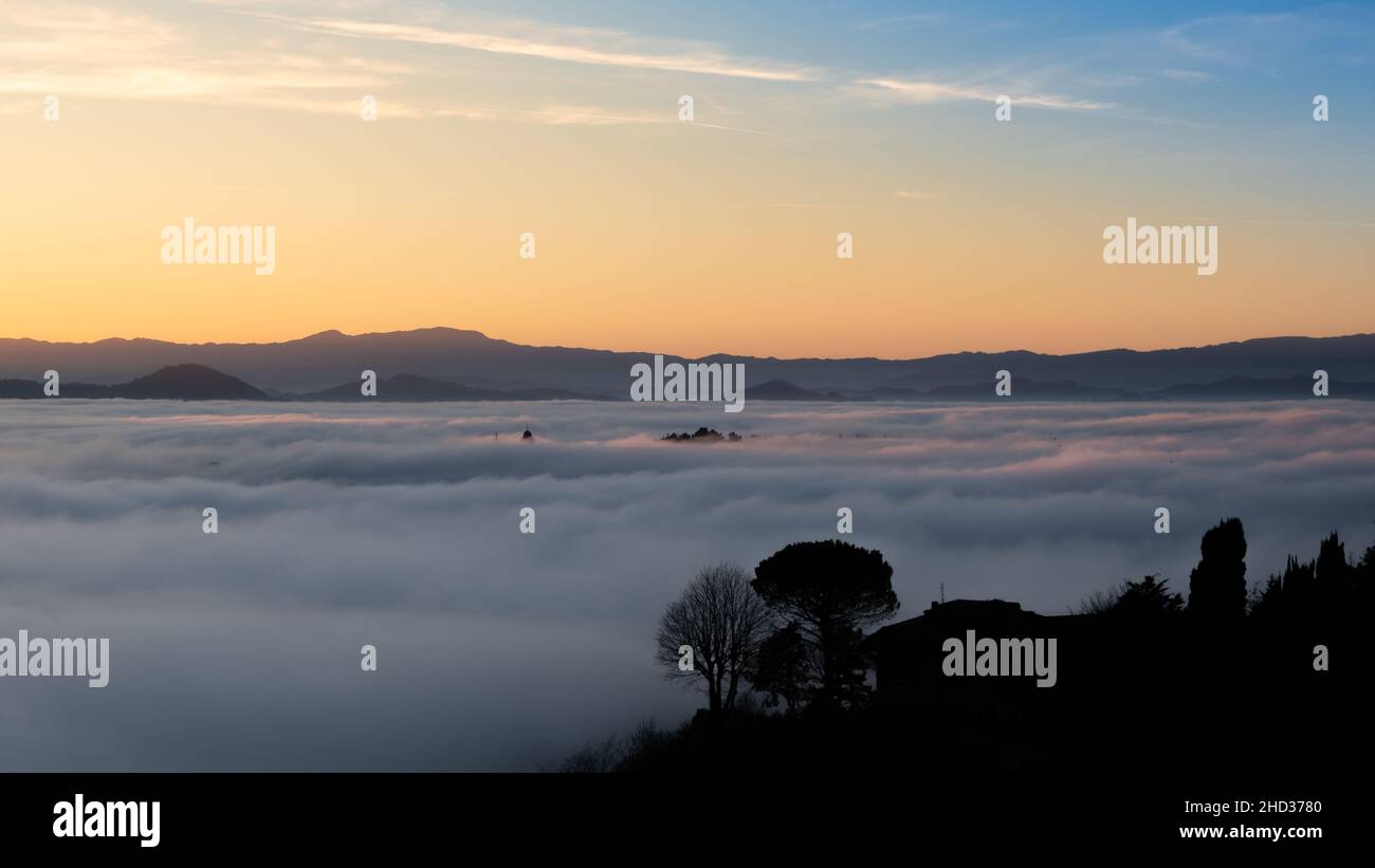 Splendida vista su una massiccia nebbia che copre gli alberi Foto Stock