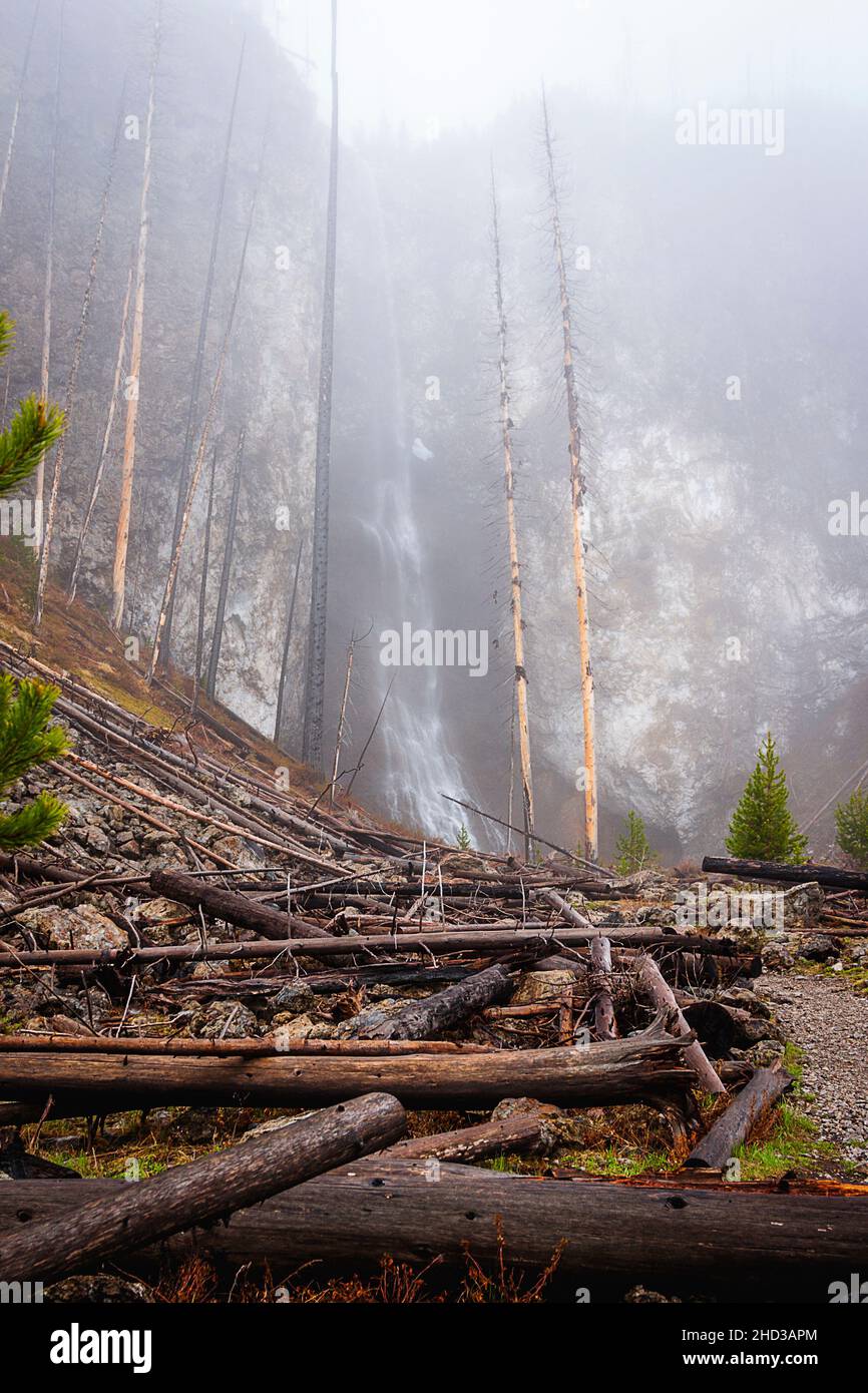 Fairy Falls - area geyser centrale Foto Stock