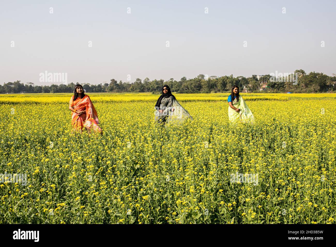 Dhaka, Bangladesh. 31st Dic 2021. Le donne camminano attraverso un campo giallo di senape alla periferia di Dhaka. La senape è un raccolto freddo di tempo ed è coltivata dai semi seminati in primavera. Da metà dicembre fino alla fine di gennaio, gli agricoltori del Bangladesh coltivano le loro colture di fiori di senape gialli dai colori vivaci che sono in piena fioritura. (Foto di Sazzad Hossain/SOPA Images/Sipa USA) Credit: Sipa USA/Alamy Live News Foto Stock