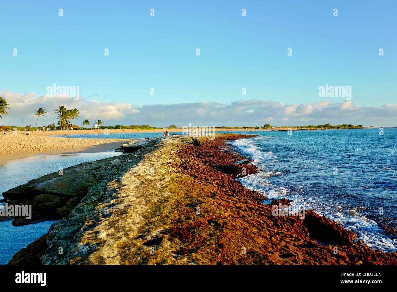 Affioramento roccioso a Saltstagno Beach vicino Hanapepe su Kauai Foto Stock