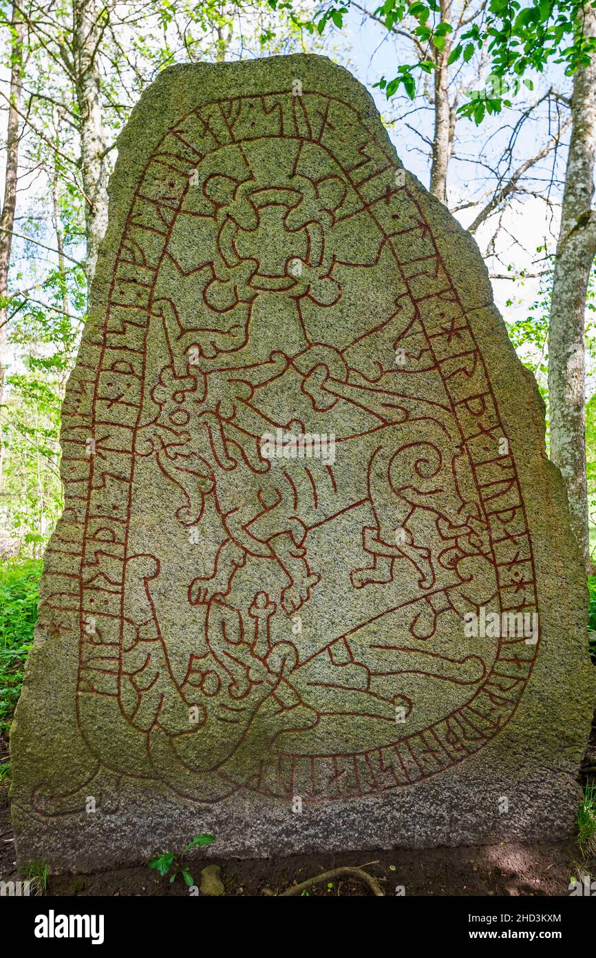 Pietra runica dell'età vichinga in una foresta Foto Stock