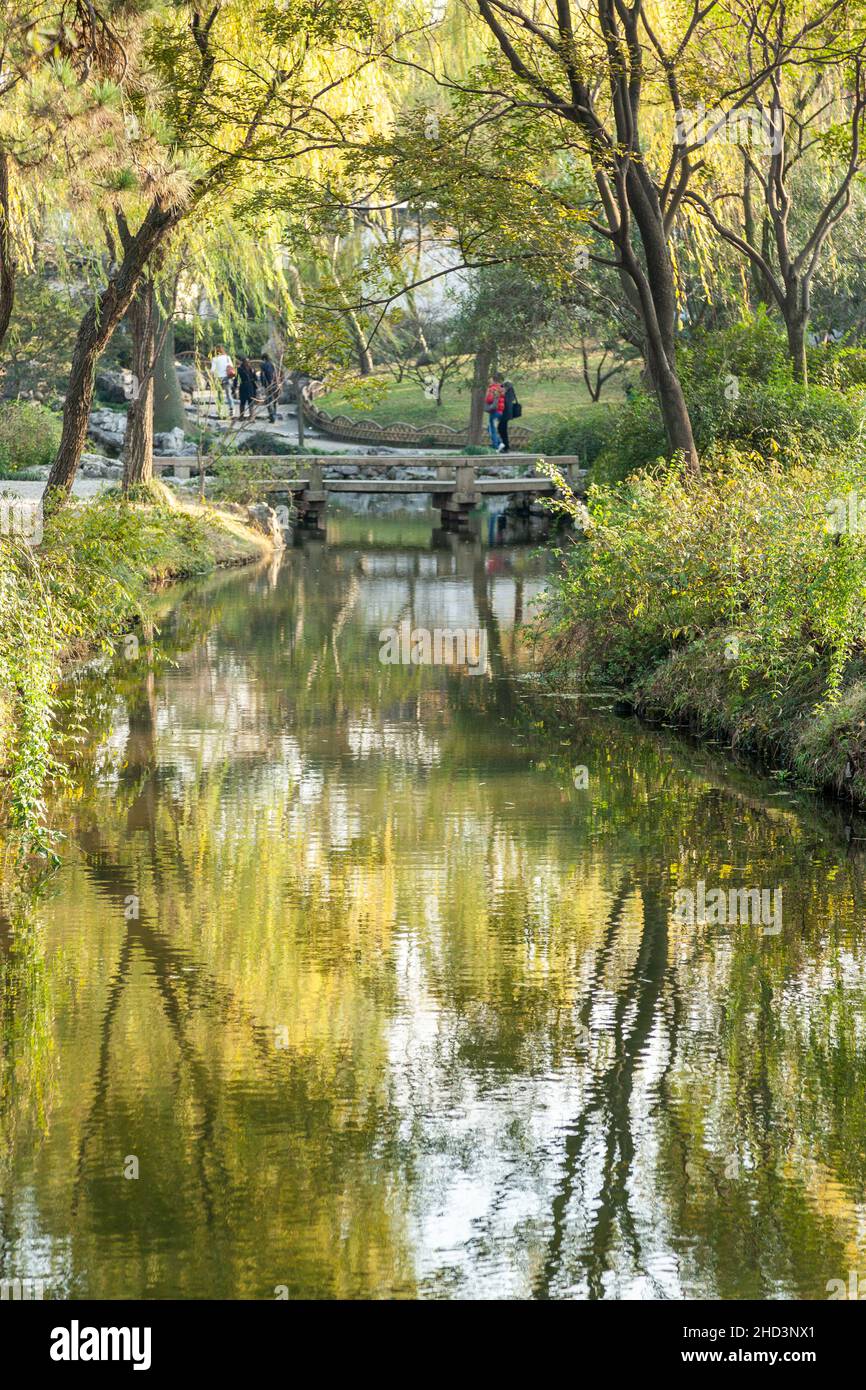 Corpo di acqua e fogliame nel Giardino dell'umile Amministratore a Suzhou, Cina Foto Stock
