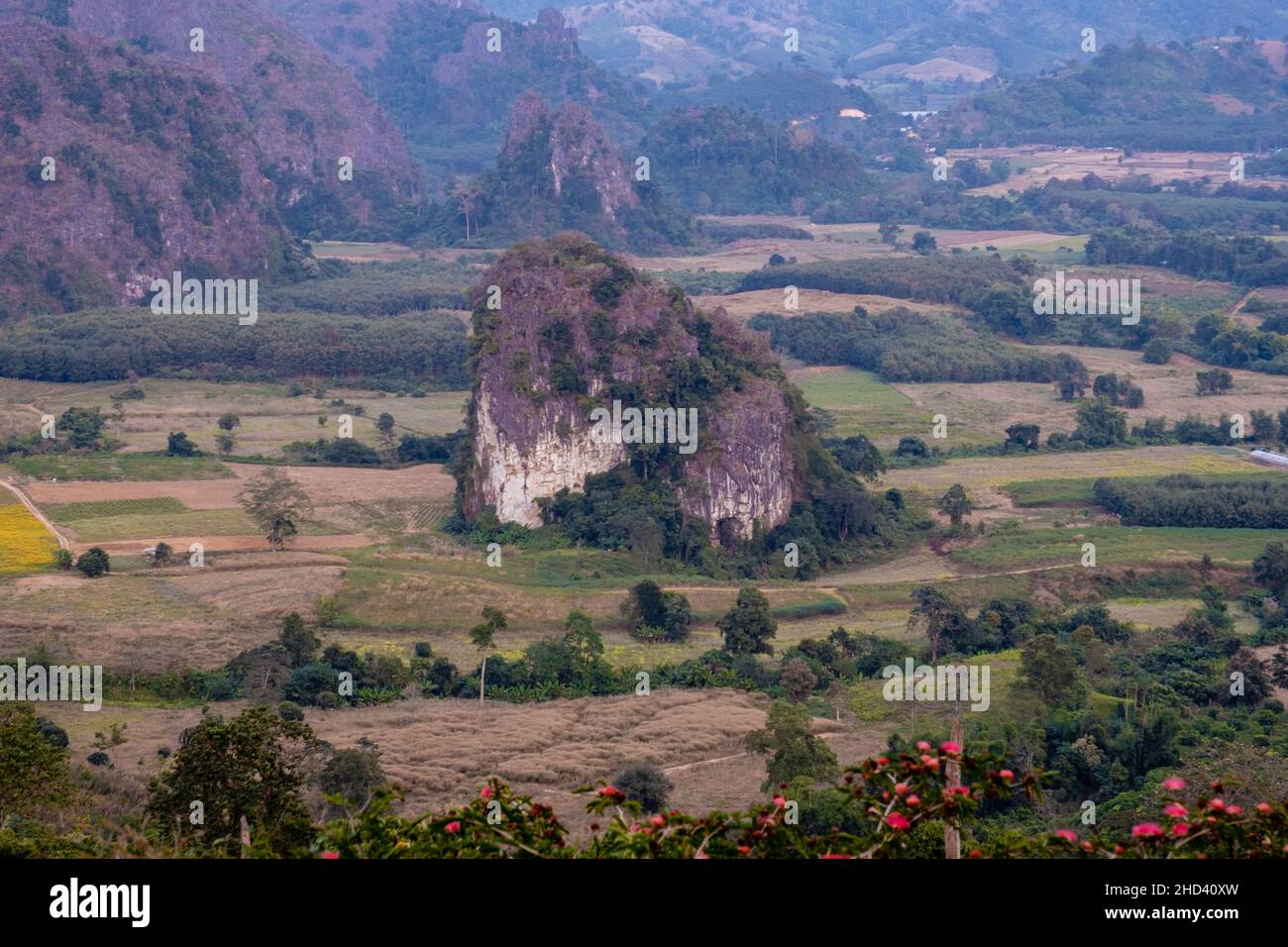 alba a Phu Langka nel nord della Thailandia, il parco nazionale di Phu Langka copre l'area di circa 31.250 Rai nel sub-distretto di Pai Loam, distretto di Ban Phaeng della provincia di Nakhon Phanom Thailandia Foto Stock