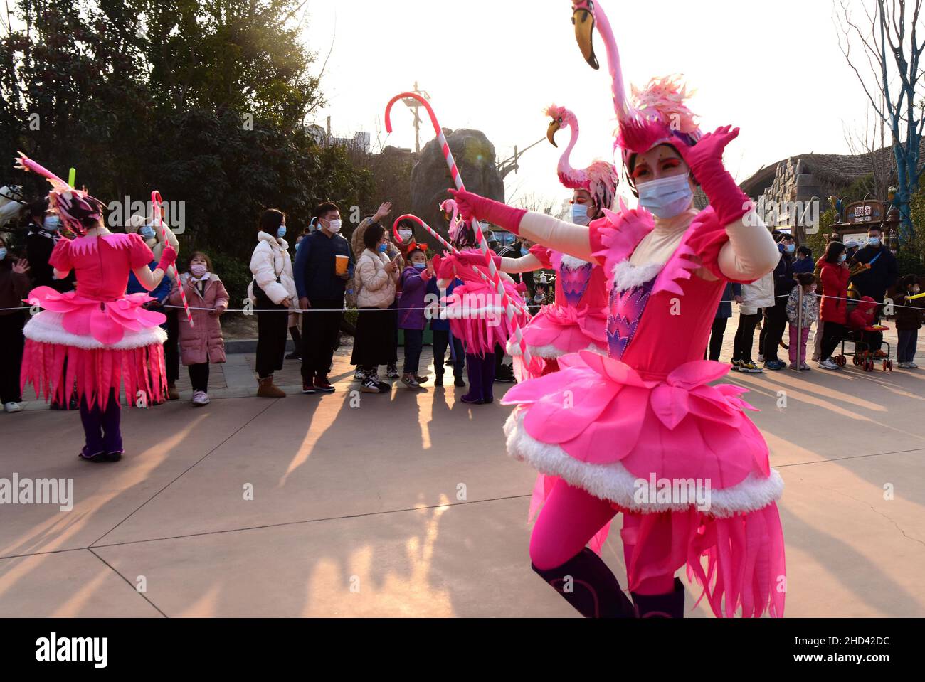 Zhengzhou, provincia cinese di Henan. 2nd Jan 2022. I turisti osservano gli artisti che ballano in un parco a tema animale a Zhengzhou, provincia centrale di Henan, 2 gennaio 2022. Credit: Yuyuyuyuyuyuyuyuyuyuyuyuyuyuyuy Foto Stock