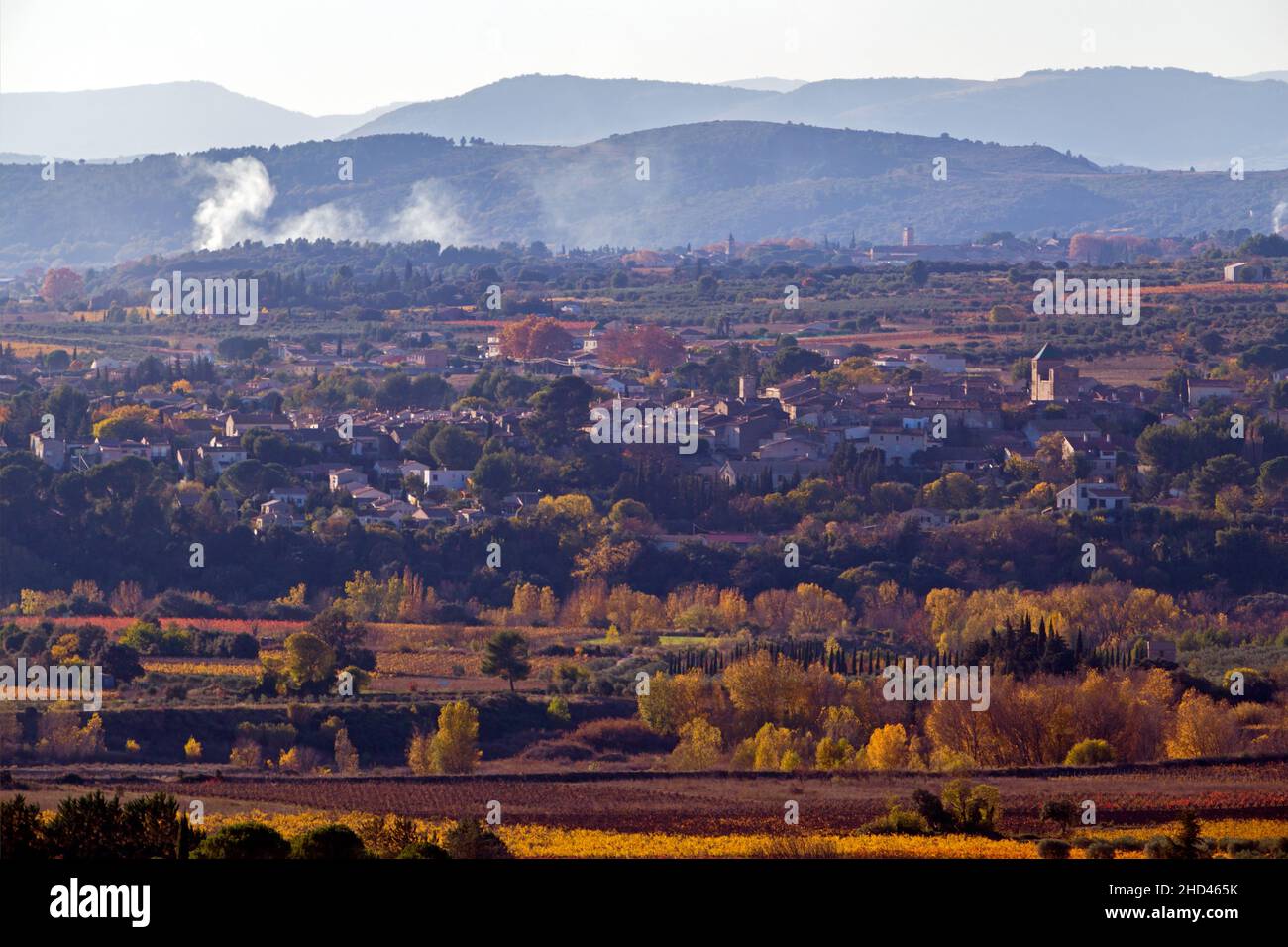 Paesaggio di vigneti vicino Aniane nella valle di Herault. Occitanie, Francia Foto Stock