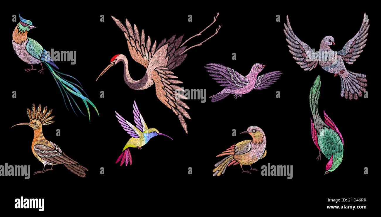 Uccelli da ricamo. Cucire le pezze di uccello, ricamati elementi orientali asiatici. Inghiottire, gru e colibrì. Volare sulle ali, oggi vettore set Illustrazione Vettoriale