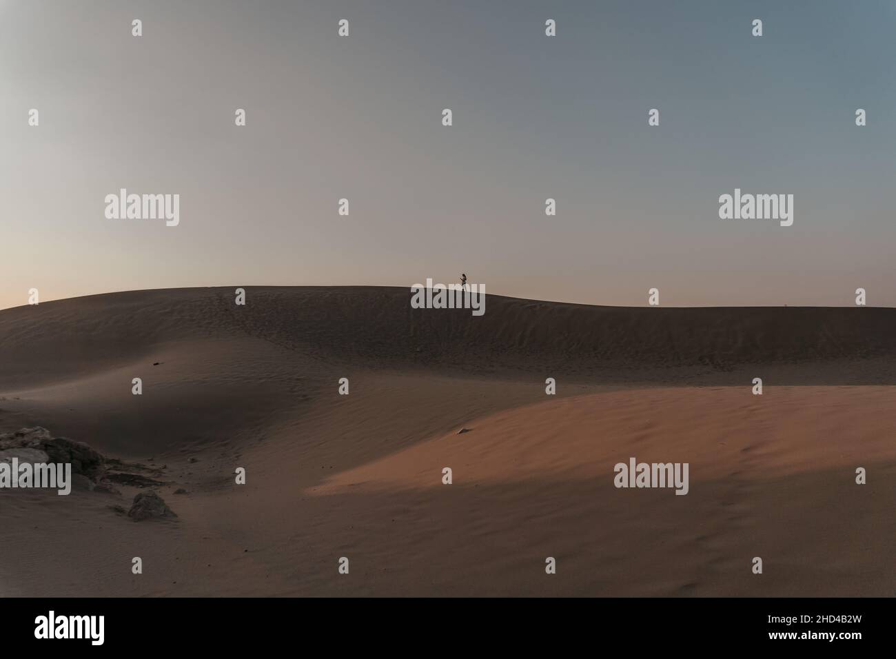Grande dune di sabbia panorama. Deserto o spiaggia sabbia sfondo testurizzato. Dune di sabbia di Patara Foto Stock