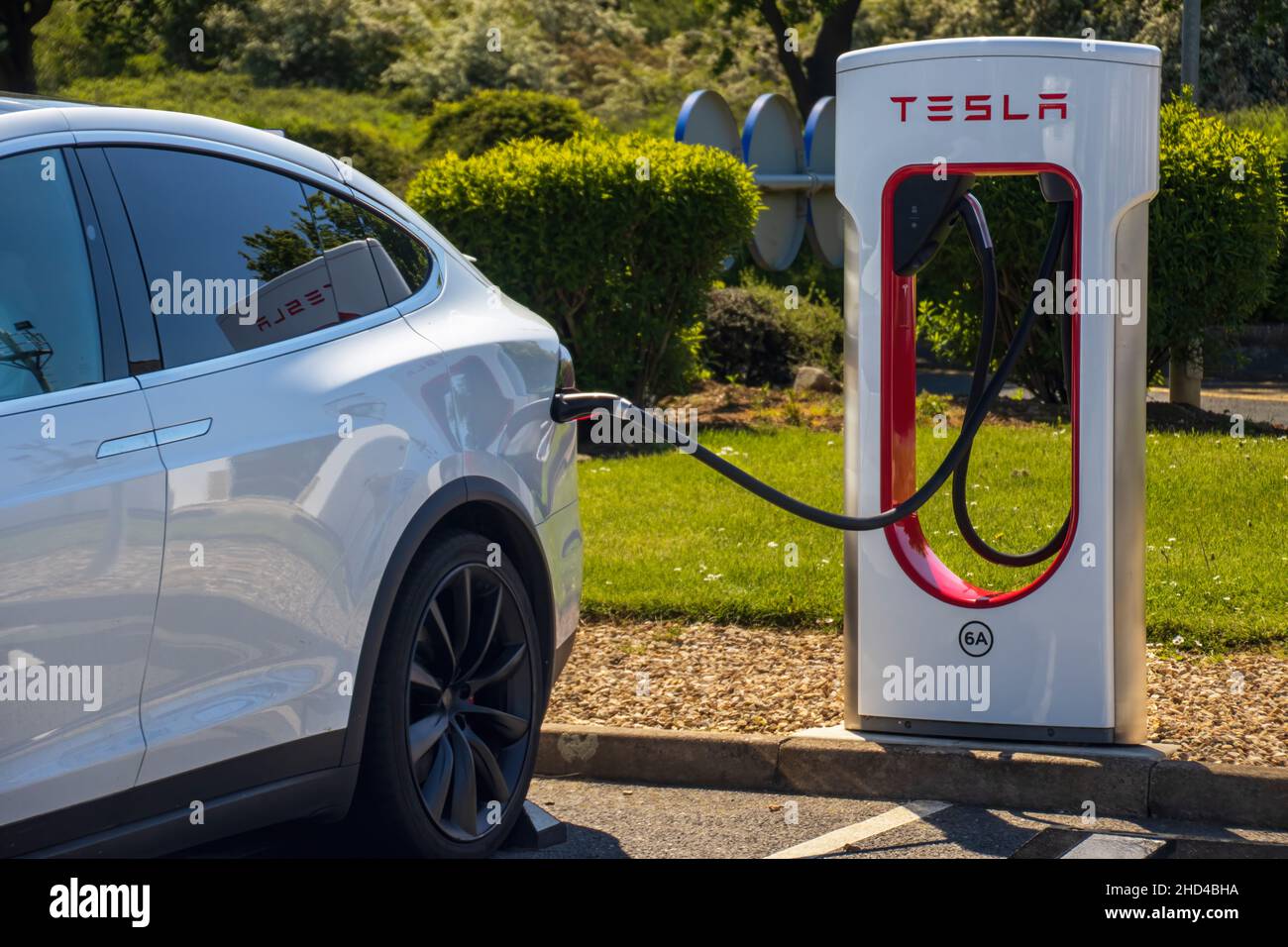 Grantham, Regno Unito - Maggio 30th 2021: Sovralimentatore Tesla collegato a un modello Tesla bianco x. In un'area di servizio autostradale. Foto di alta qualità Foto Stock