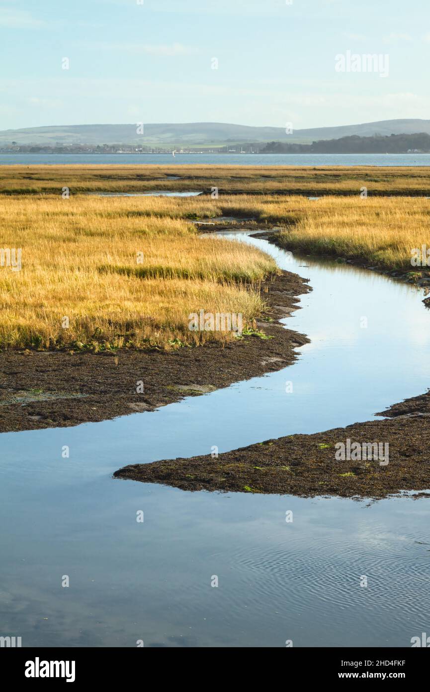 Vista dell'Isola di Wight attraverso le Saline di Solent e Pennington dal sentiero di Solent Way, Keyhaven UK Foto Stock