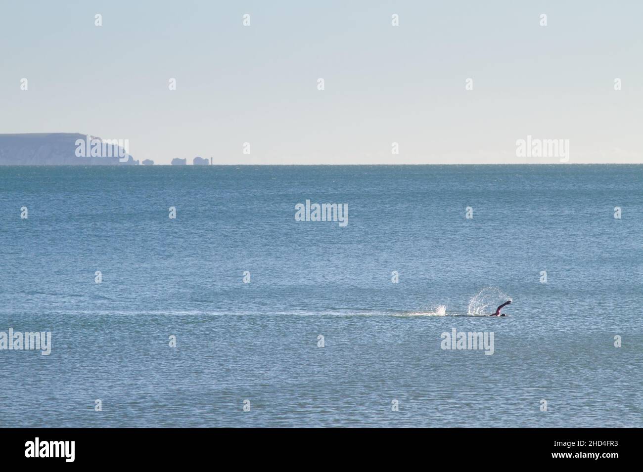 Nuotatore selvatico nuotare nel mare in inverno al largo di Avon Beach con una vista sul Solent verso l'isola di Wight e The Needles UK Foto Stock