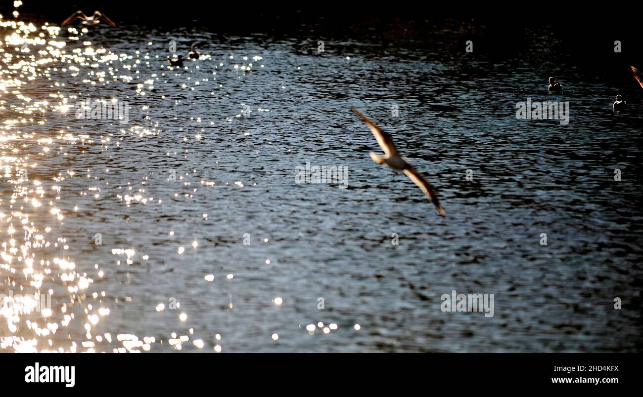 Torre di telecomunicazioni Foto Stock