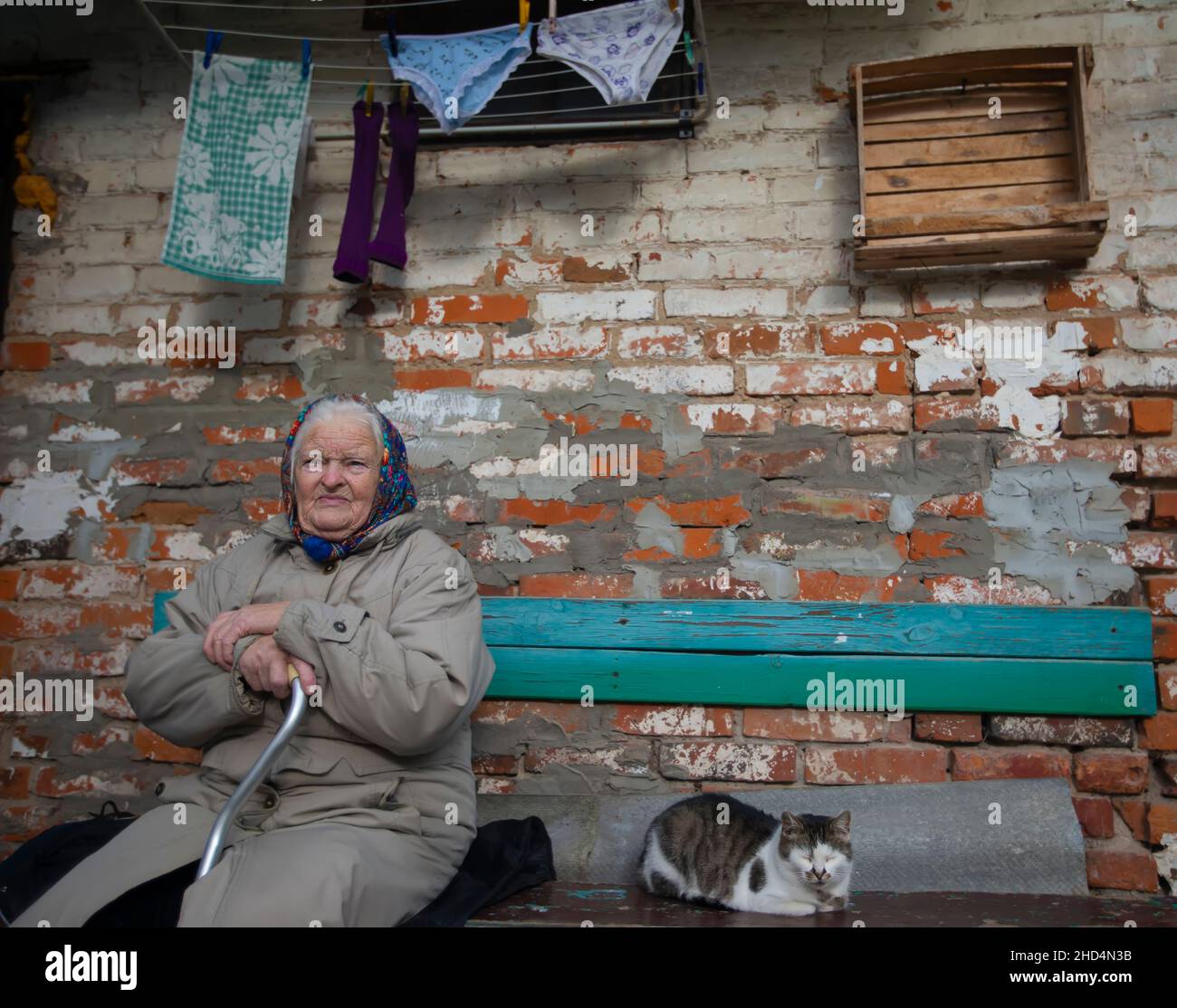 Una vecchia nonna russa con un bastone siede su una panchina con un gatto di strada sullo sfondo di un muro di mattoni. Poveri russi in pensione, bielorussi o Foto Stock