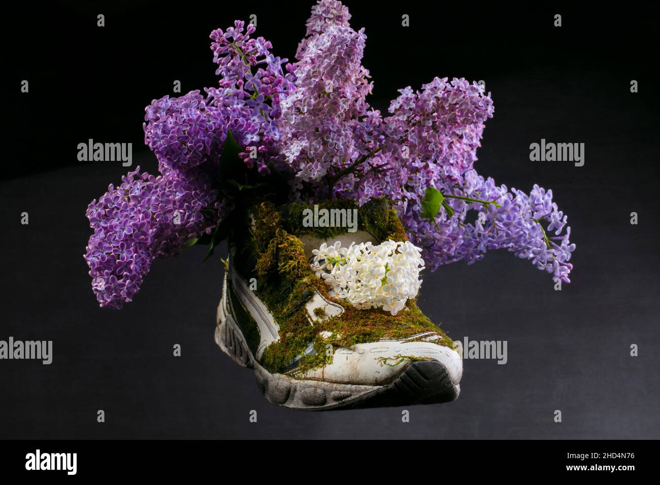 Una sneaker ricoperta di muschio e lavanda in fiore. Scarpe realizzate con materiali naturali. Foto Stock