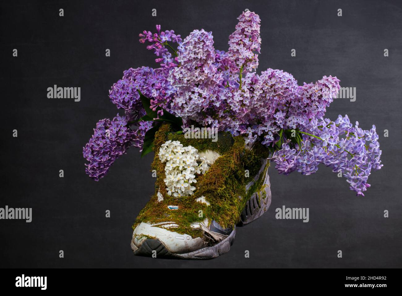 Una sneaker ricoperta di muschio e lavanda in fiore. Scarpe realizzate con materiali naturali. Foto Stock