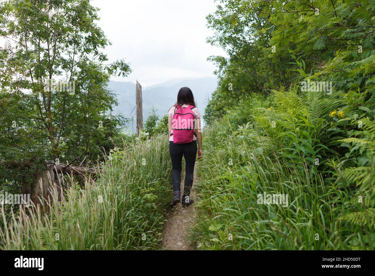 Vagando attraverso la foresta, passeggiate donna sentieri. Foto Stock