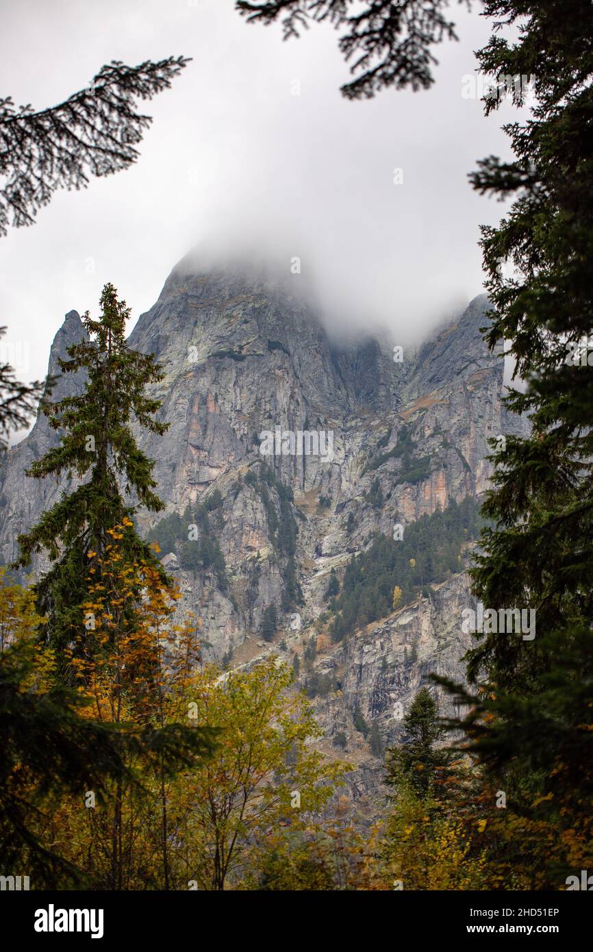 Splendida vista su un'antica montagna rocciosa con alberi d'autunno e un cielo nebbia Foto Stock
