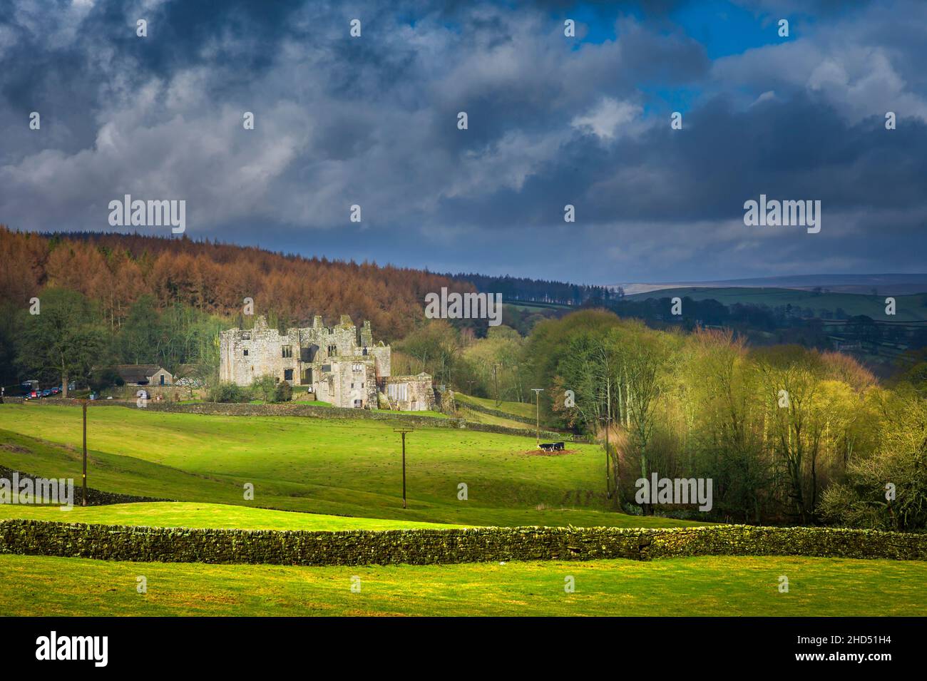 La Barden Tower è un rifugio di caccia in rovina nello Yorkshire Dales. Foto Stock