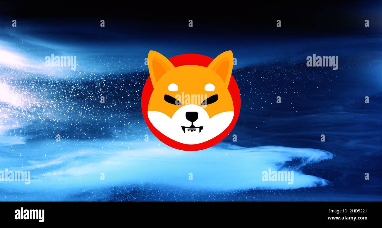 CRIPTOVALUTA SHIBA INU. Grafico di crescita delle monete SHIB sullo scambio  Foto stock - Alamy