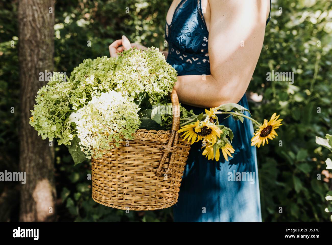 Donna in abito tiene un cestino pieno di hydrangeas e girasoli Foto Stock