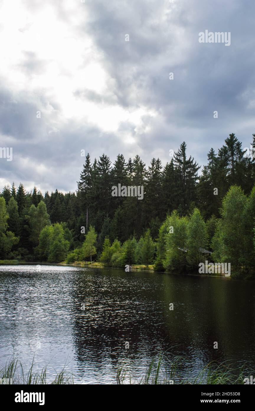 idilliaco lago in foresta con riflessi e cielo nuvoloso sfondo Foto Stock