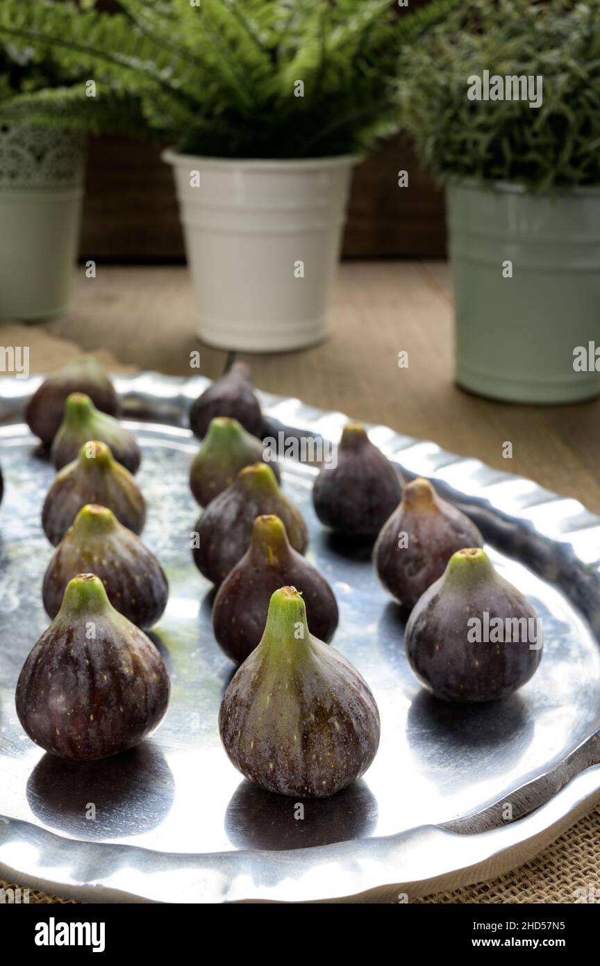 Fichi su un piatto d'argento e piante sullo sfondo in un ambiente scuro Foto Stock