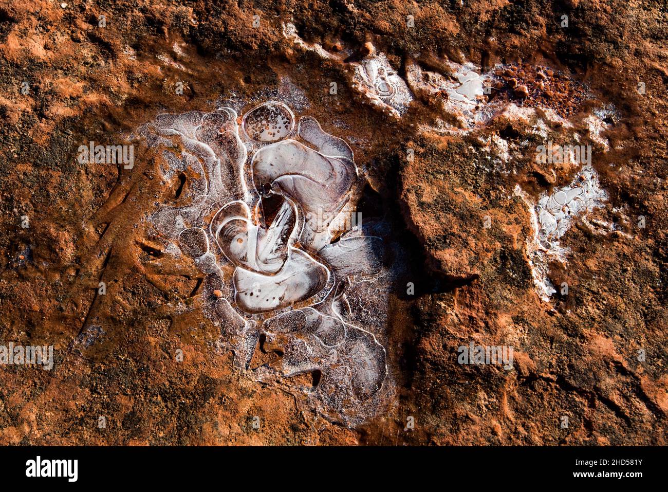 Cristalli ghiacciati si formano nelle strapie rocciose di arenaria dura. Queste sacche d'acqua a volte tengono l'unica vita che sostiene l'umidità per miglia intorno. Foto Stock