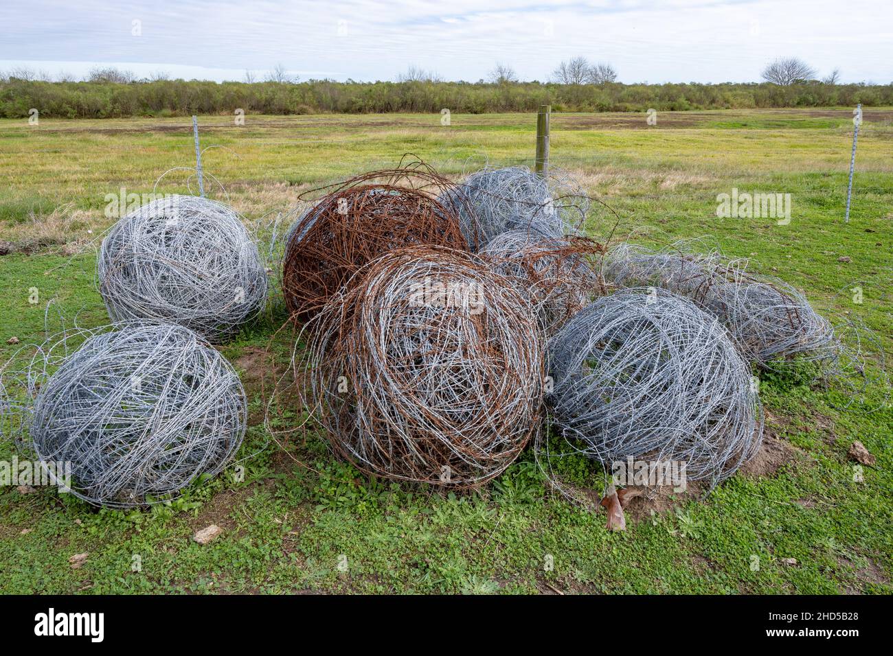 Palle enormi di fili di barbo dalla recinzione ad un ranch. Matagorda, Texas, Stati Uniti. Foto Stock