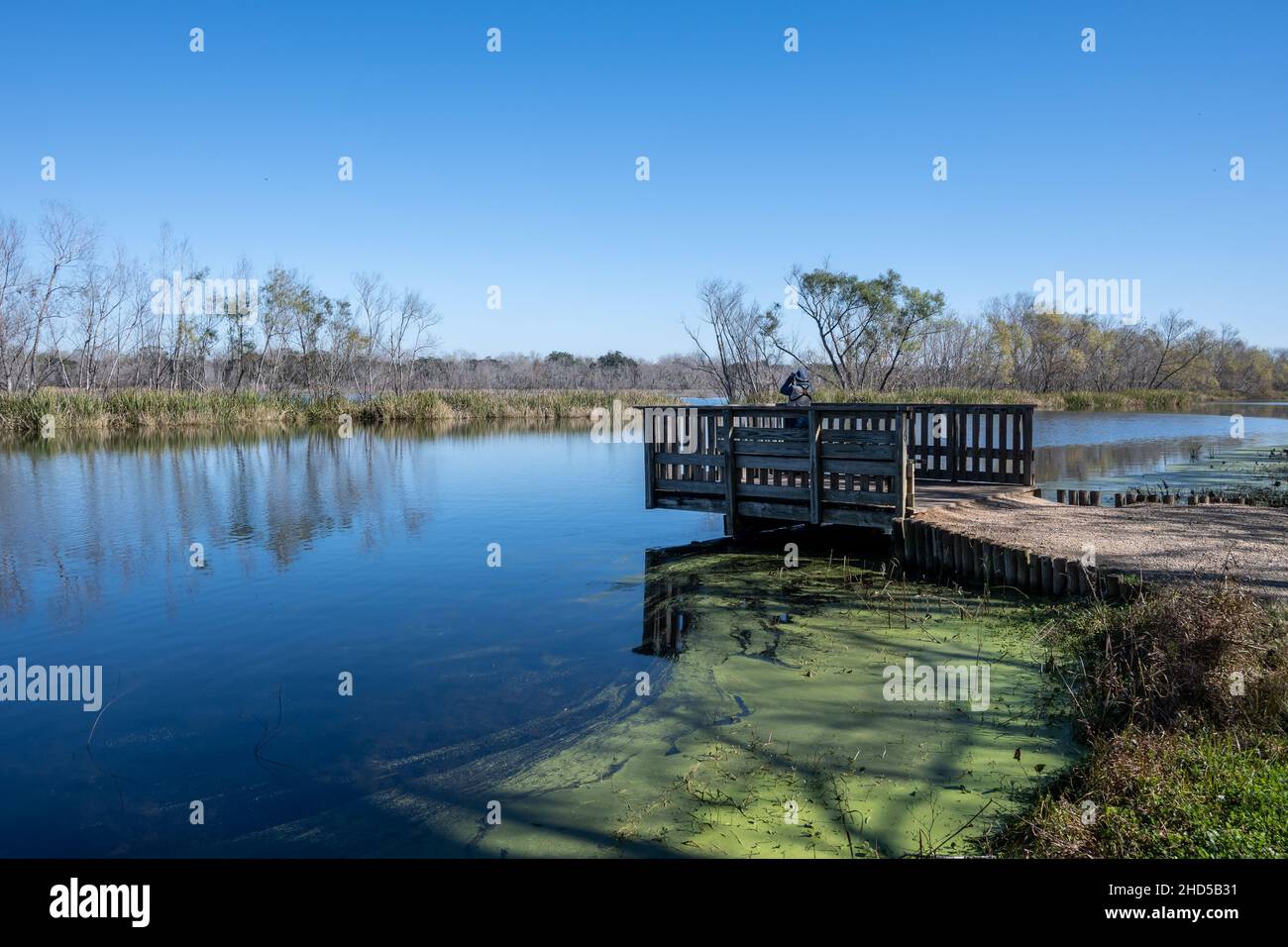 Un birdwatcher alla ricerca di uccelli su un ponte di legno vicino al lago. Brazos Bend state Park. Needville, Texas, Stati Uniti. Foto Stock