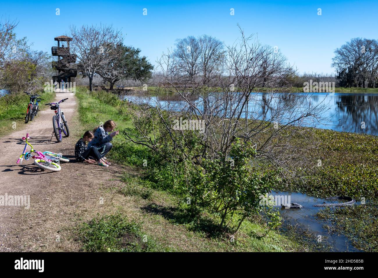 Due ragazze che guardano un alligatore nel lago. Brazos Bend state Park. Needville, Texas, Stati Uniti. Foto Stock