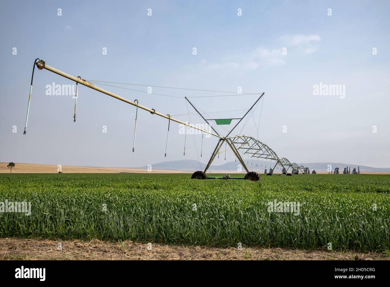 Un sistema di irrigazione a perno che si trova in un campo di colture verdi. Presa nella provincia di Stato libero del Sudafrica Foto Stock