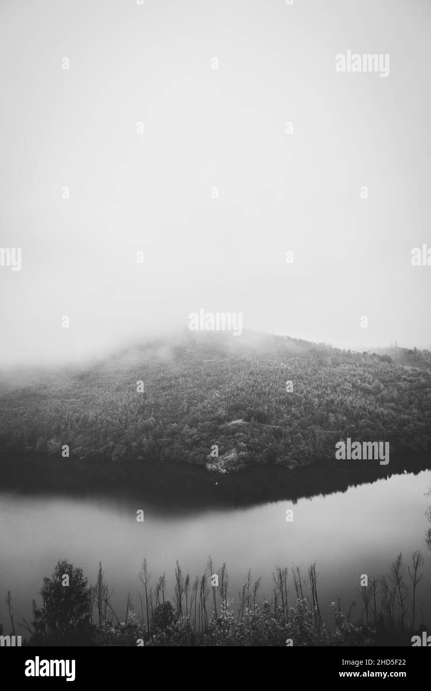 La nebbia mattutina che galleggia sulla cima della collina crea una splendida dinamica di toni chiari e scuri. Foto Stock