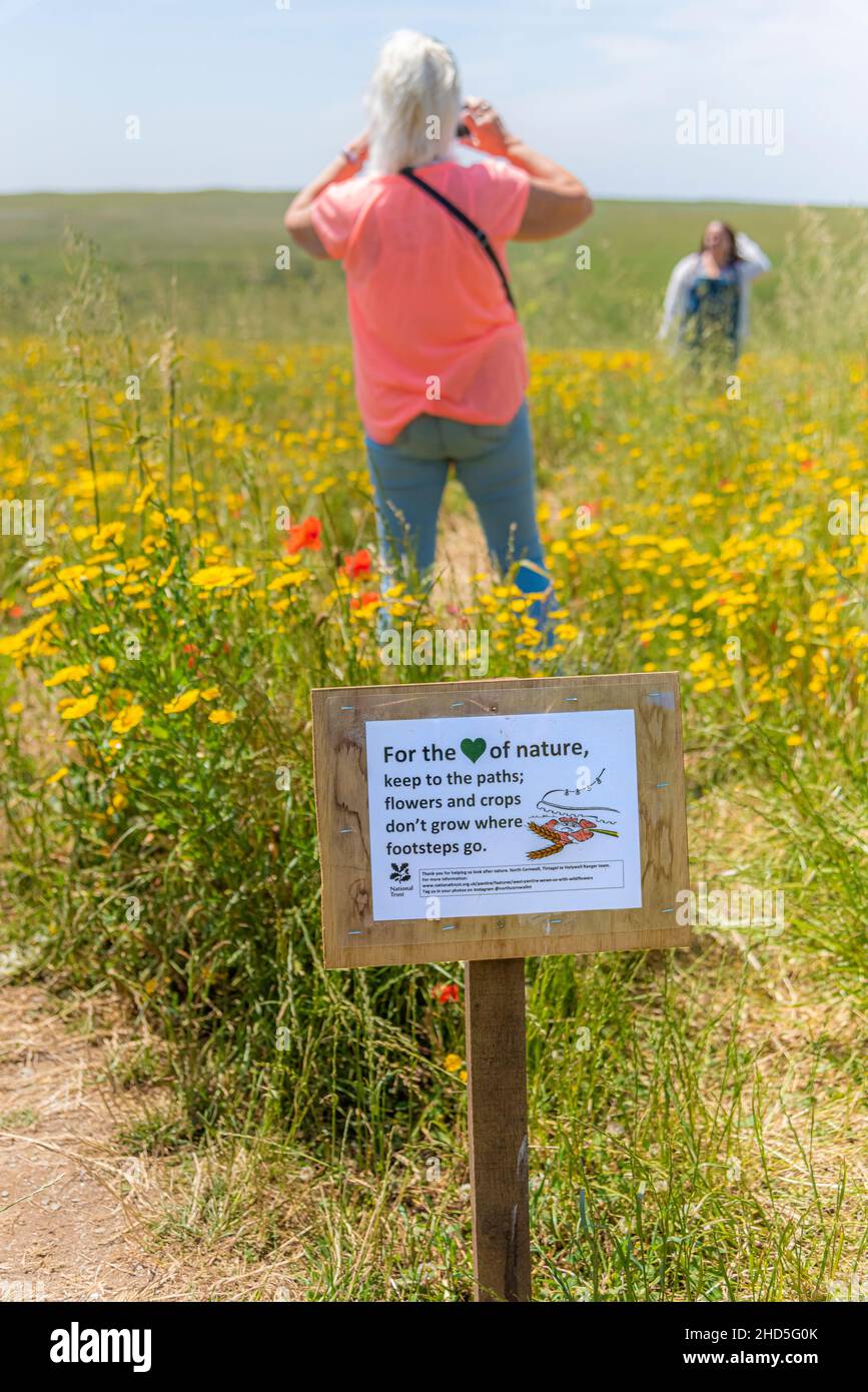 I villeggianti ignorano un segno e posano per le fotografie in un campo di fiori selvatici su West Phentire a Newquay in Cornovaglia. Foto Stock