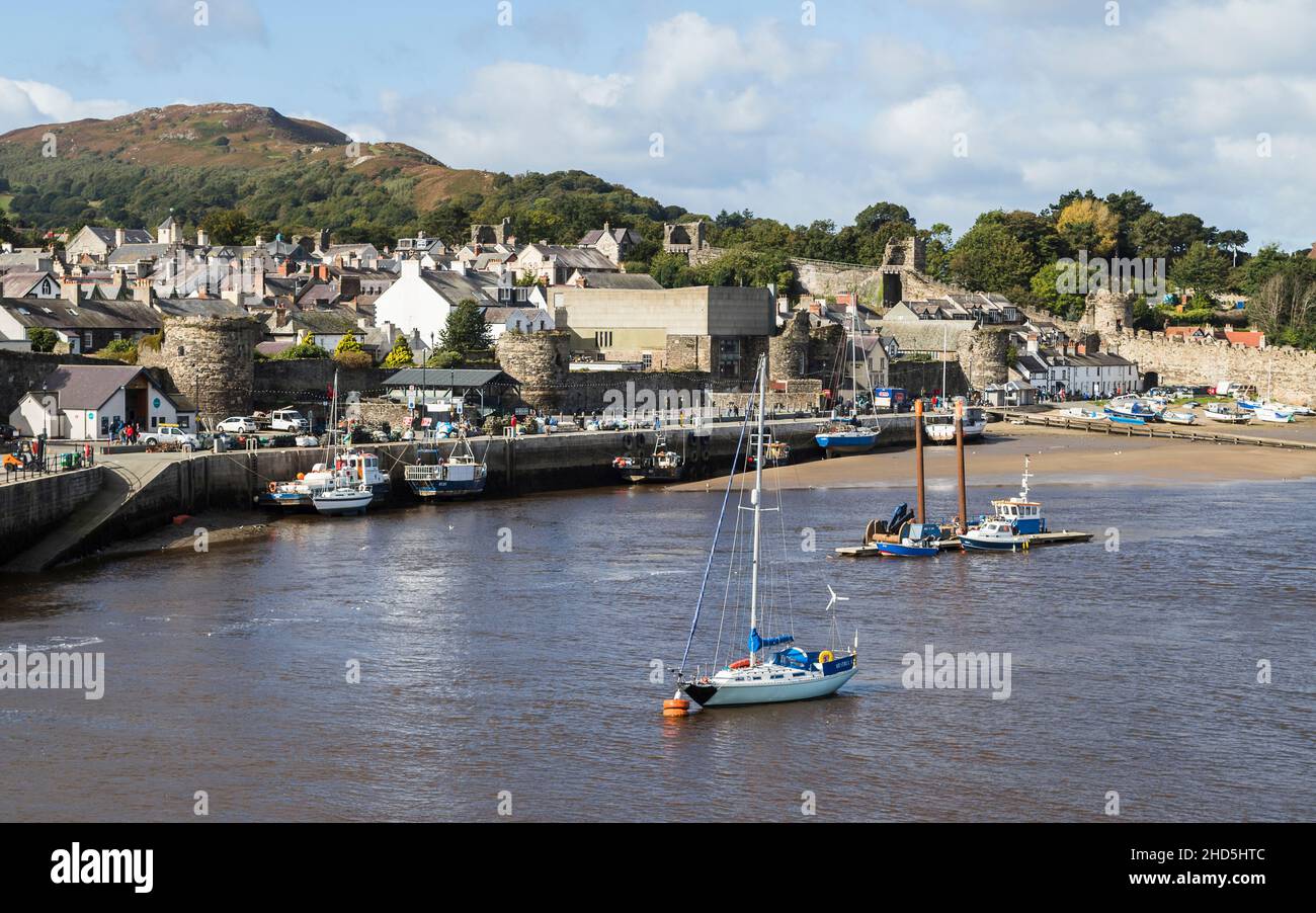 Porto di Conwy a bassa marea. Foto Stock