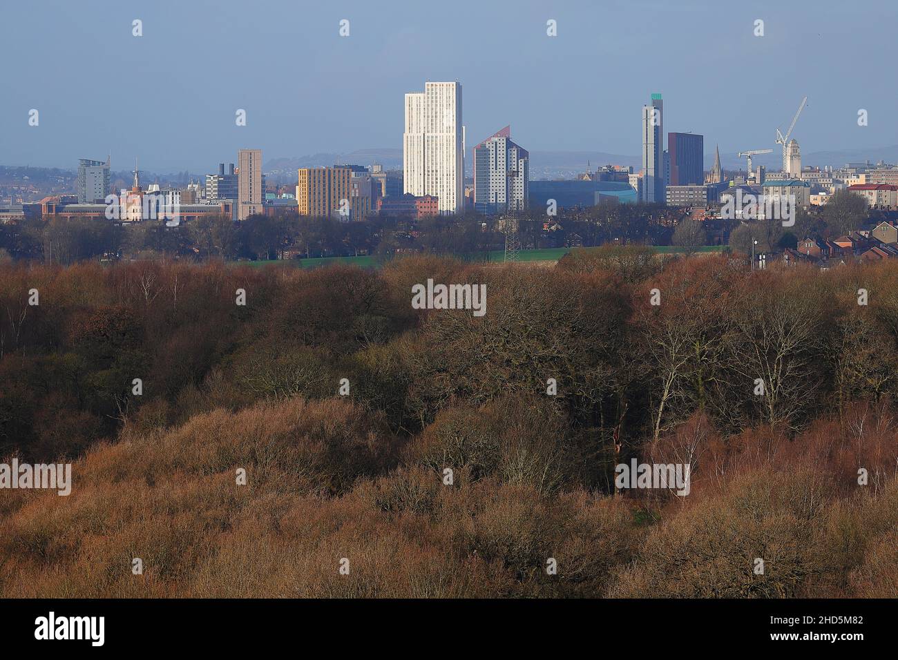 Vista dello skyline di Leeds da Temple Newsam Foto Stock