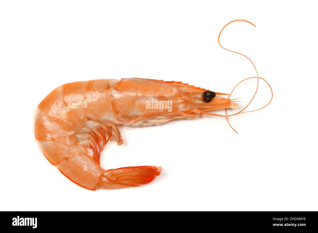 Gamberi perfettamente ritoccati isolati su bianco. Foto ad alta risoluzione. Profondità di campo completa. Foto Stock