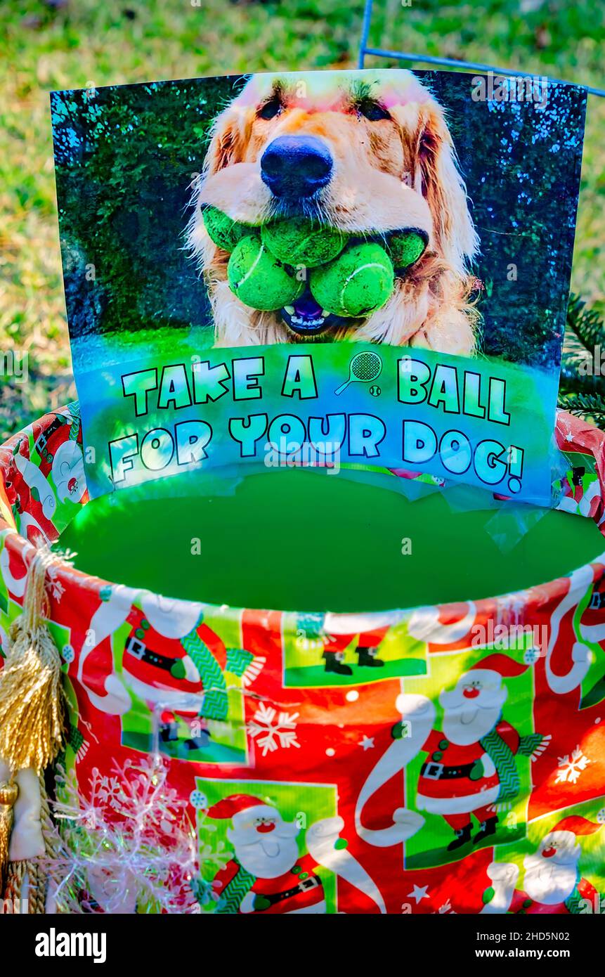 Un secchio di palle da tennis si siede accanto ad un albero di Natale per cani, 24 dicembre 2021, a Dauphin Island, Alabama. Foto Stock