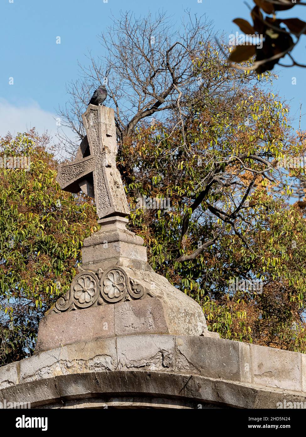 Un piccione che riposa sulla cima di una lapide, cimitero, Città del Messico, Messico Foto Stock