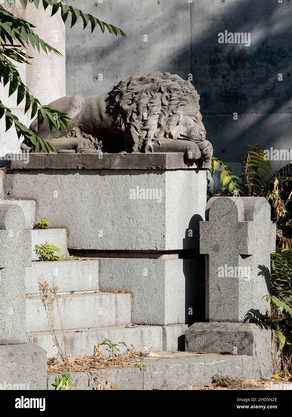 Monumento del Leone in una tomba, Città del Messico, Messico Foto Stock