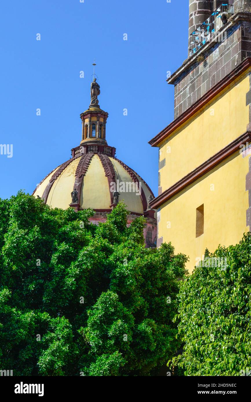 La cupola sorge sulle cime degli alberi insieme al campanile del Convento dell'Immacolata Concezione a San Miguel de Allende, Messico Foto Stock