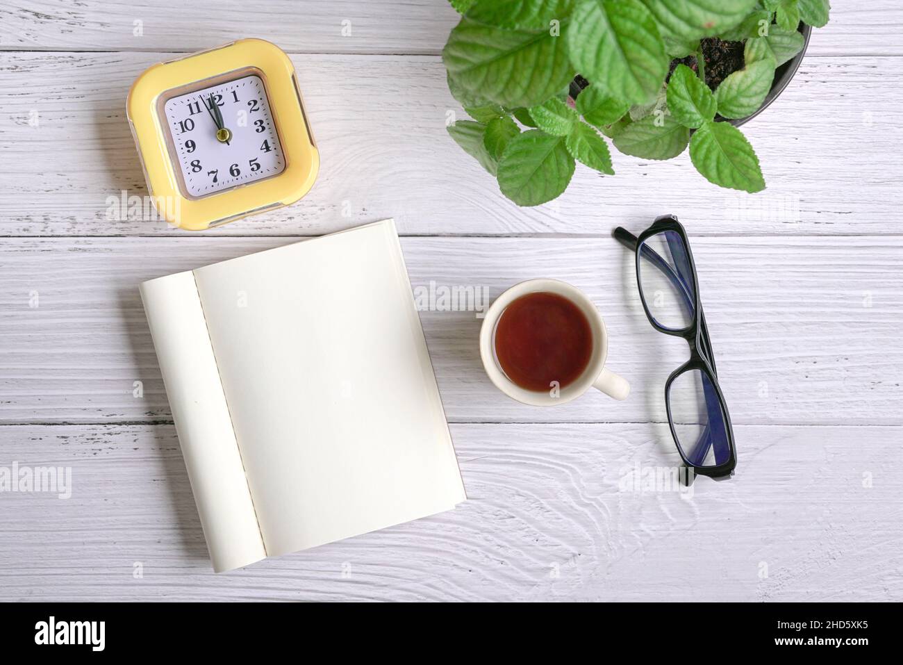 Piatto di blocco note, caffè, orologio, occhiali e piante verdi su tavola di legno bianco. Spazio di copia. Foto Stock