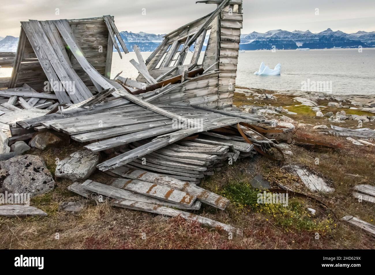 Cabina abbandonata con doghe e cerchi in botte, Danmark o, Fonfjord, Scoresby Sund, Groenlandia orientale Foto Stock