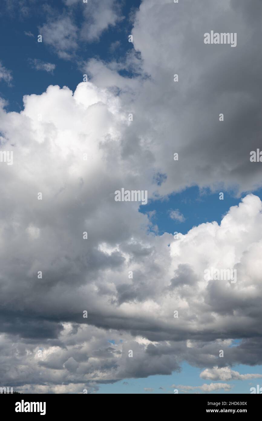 Foto drammatica perfetto estate blu cielo nuvoloso sfondo. Cumulus nuvole in una giornata estiva sopra la natura selvaggia del Monte Adirondack, Stati Uniti. Foto Stock