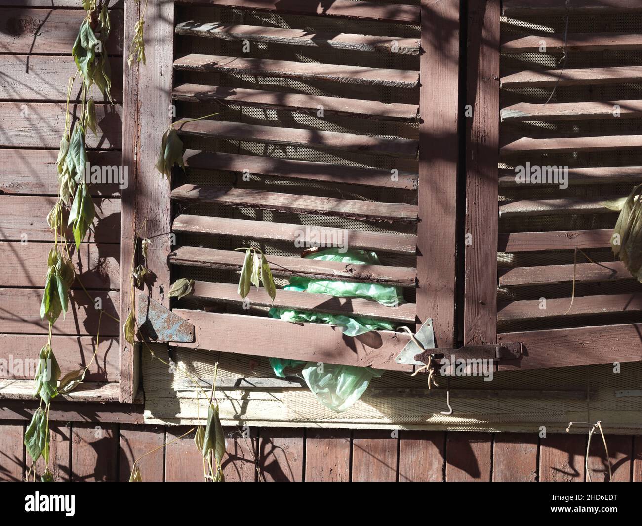 Vecchia casa apparentemente abbandonata con persiane di legno chiuse Foto Stock