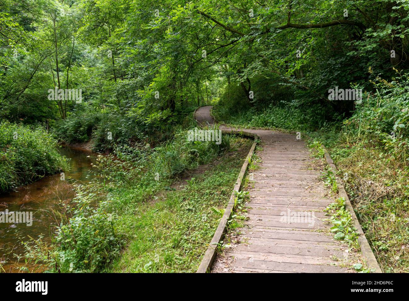 Il fiume Derwent che scorre attraverso la valle di Forge Foto Stock