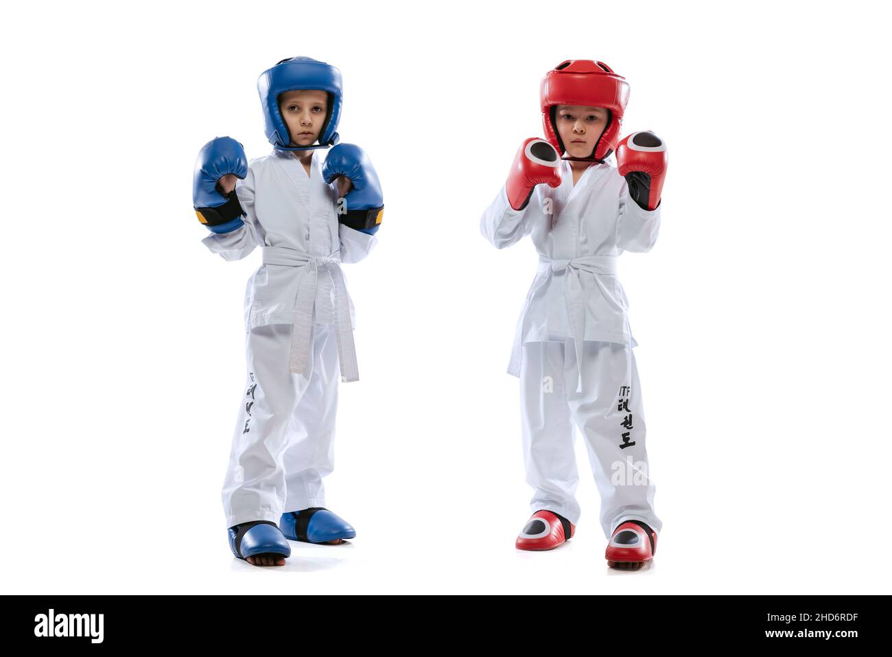 Studio girato di due bambini piccoli, ragazzi, atleti taekwondo che indossano dooks e uniformi sportive isolato su sfondo bianco. Foto Stock
